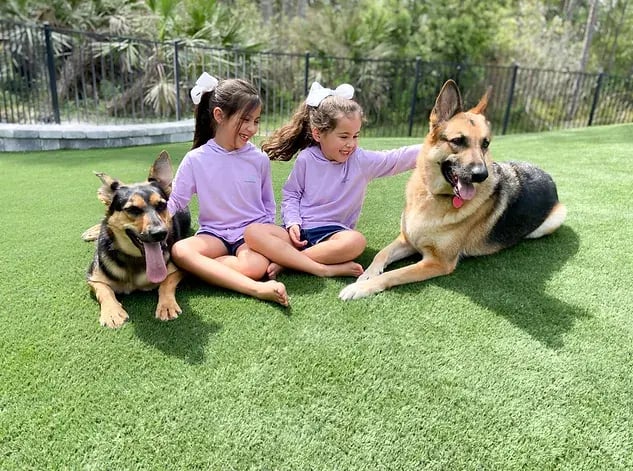 Two girls sitting on artificial grass with dogs