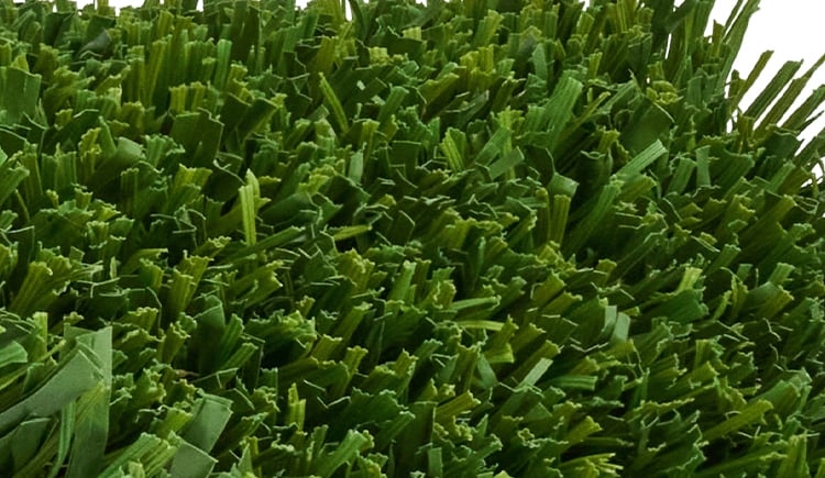 K9 champion ret zoom