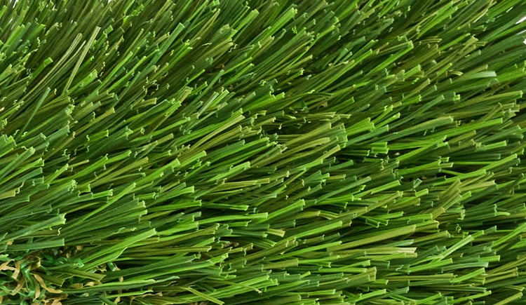 Tropical premium ret zoom