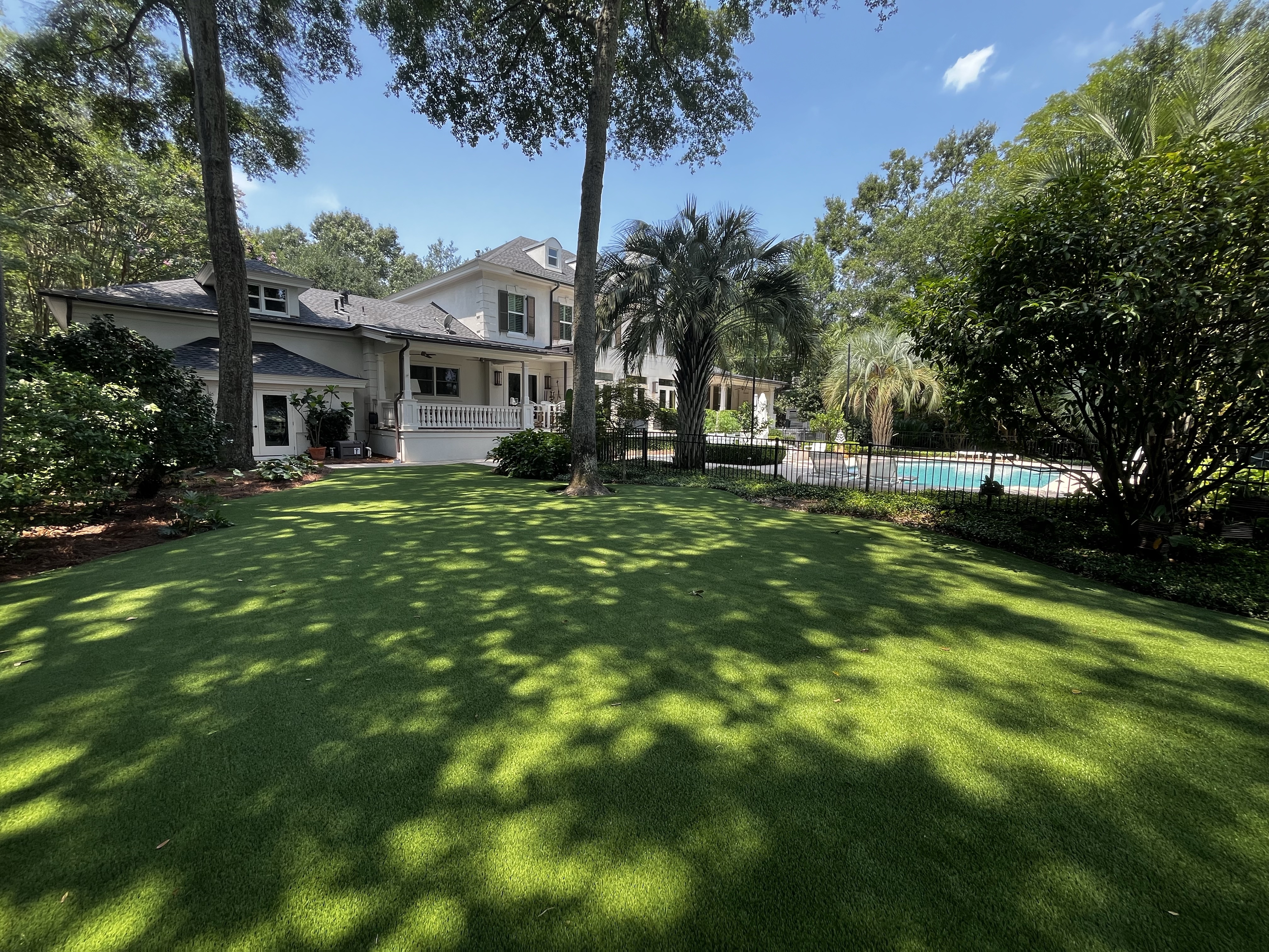 Chs backyard%207%20(1)