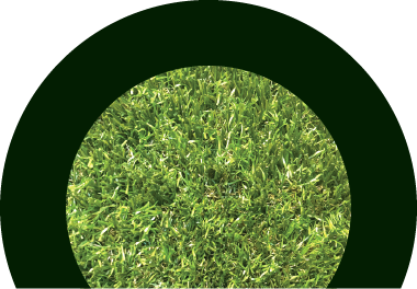 Its%20web%20real%20grass%20value