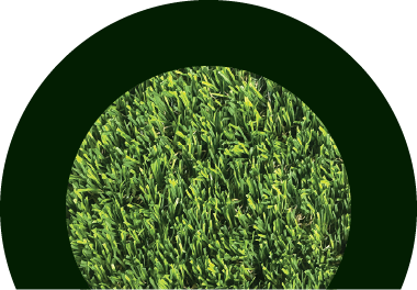 Its%20web%20surreal%2067