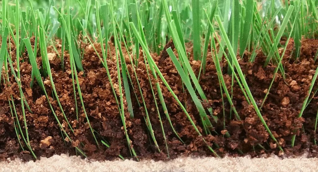 Corkonut infill close up