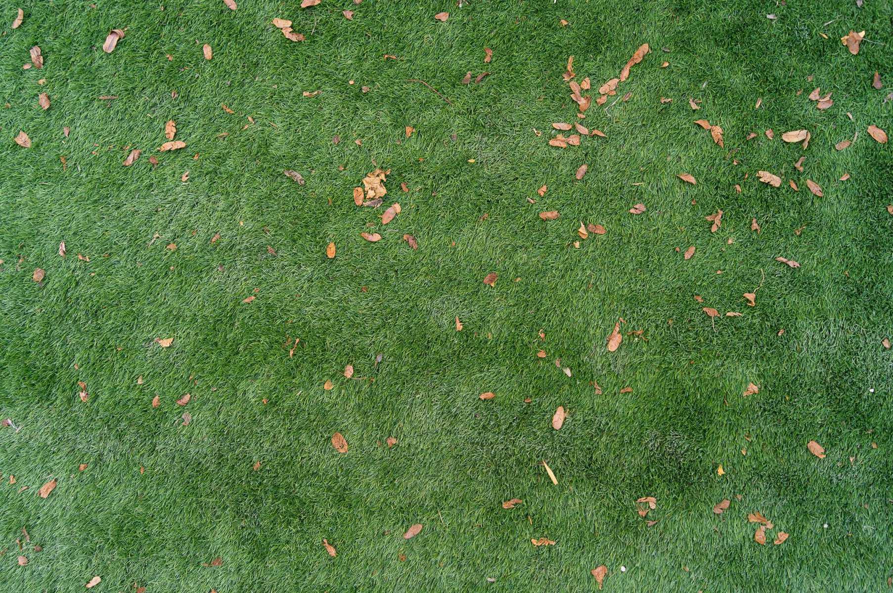 Artificial turf texture photo scaled