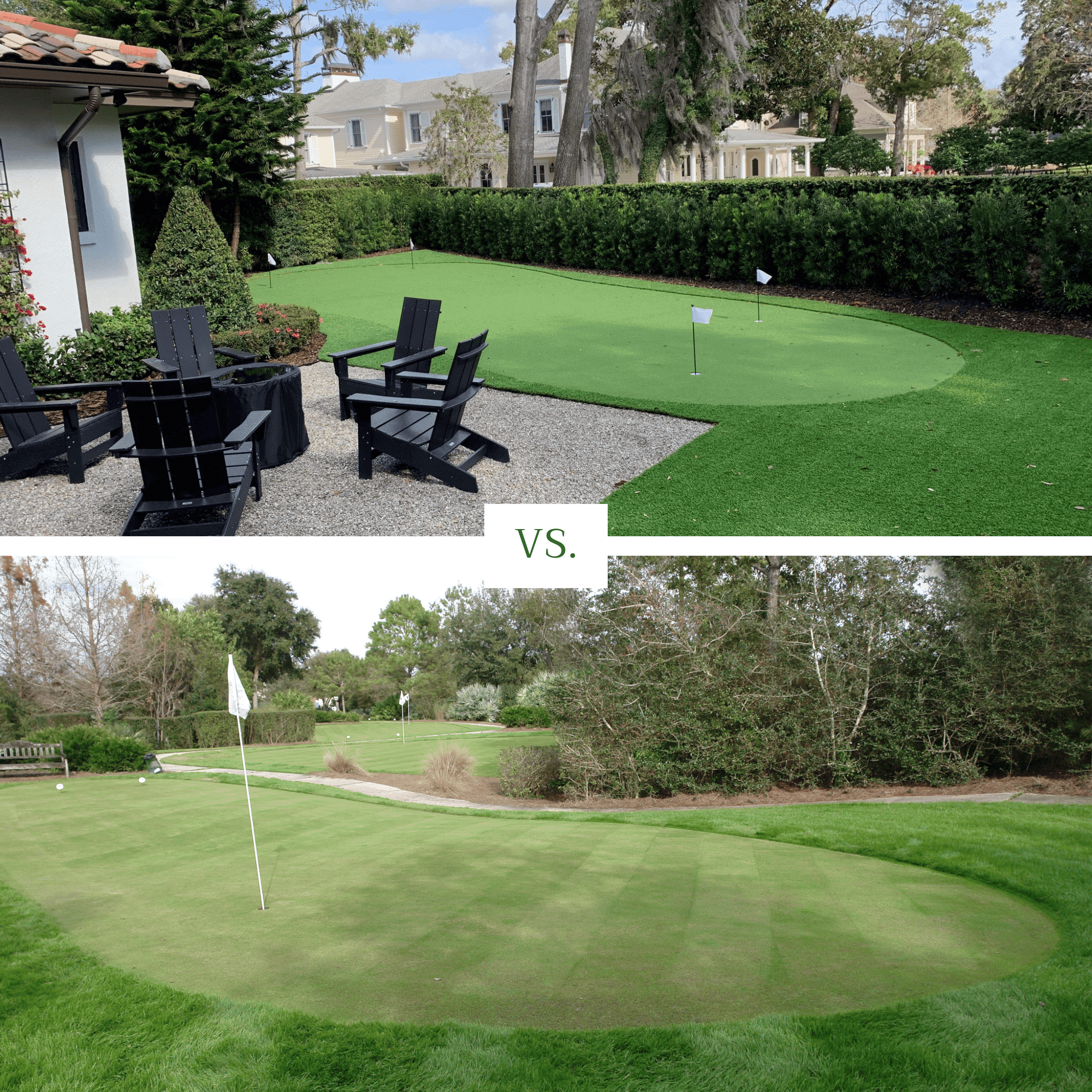 Artificial turf vs  natural grass putting green 1