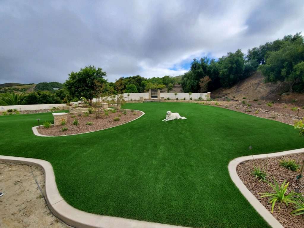 dog-on-artificial-turf-lawn