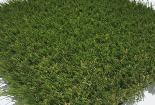 Canine Champion Pet Friendly Turf