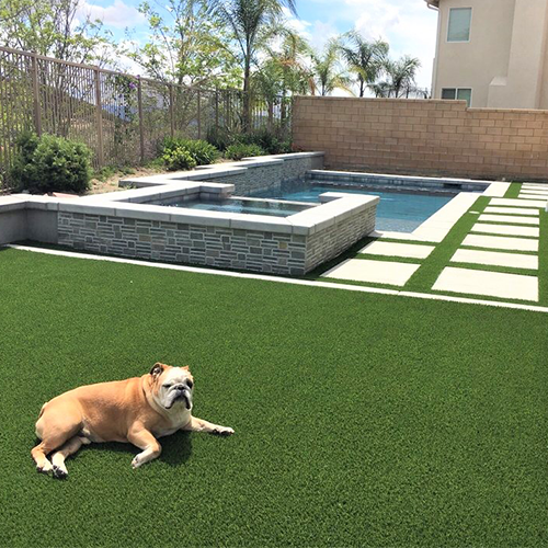 pet-friendly artificial turf yard
