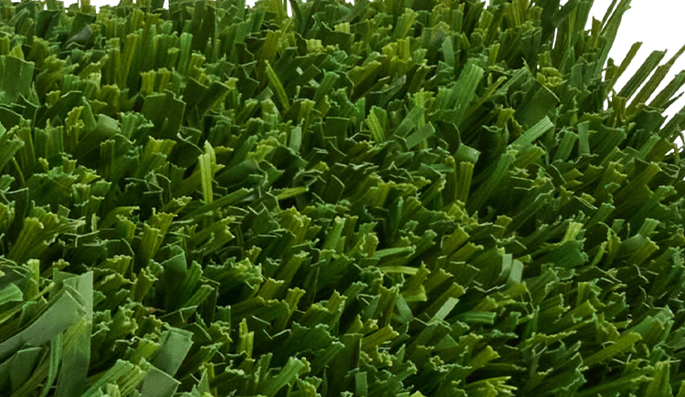 K9 champion ret zoom