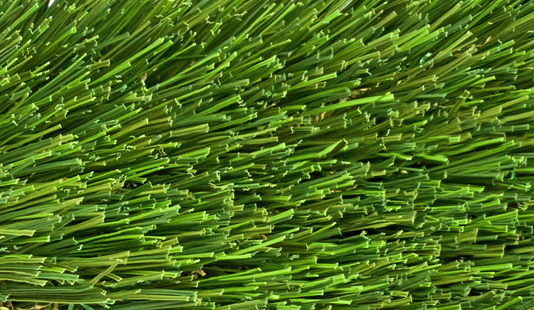 Tropical platinum ret zoom