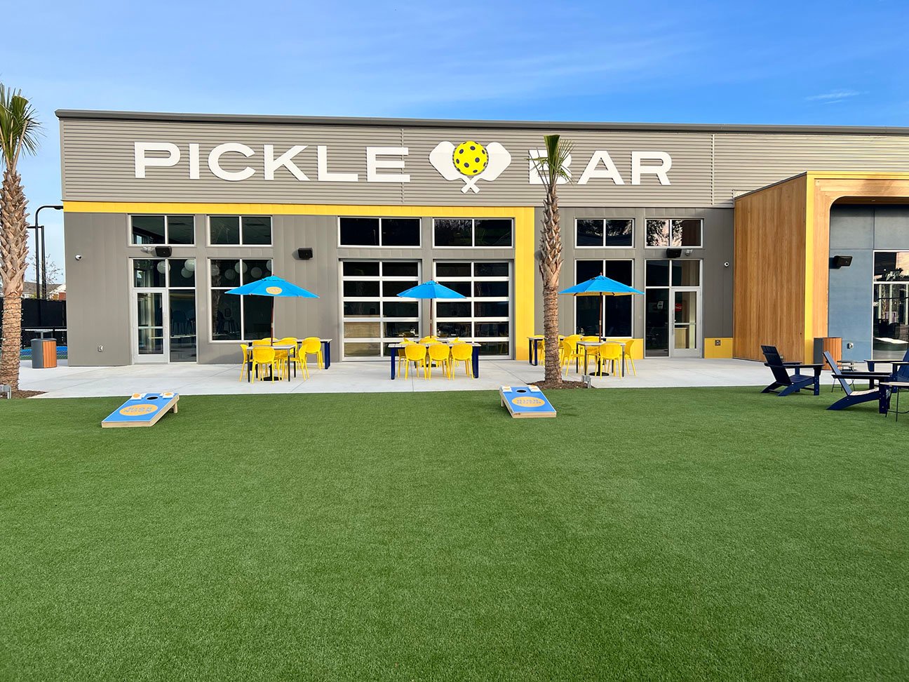 Artificial turf pickle bar 2
