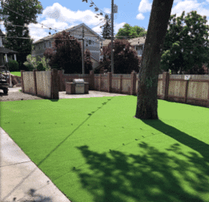 ProGreen Lawn