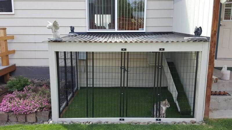 cat in a backyard spacious cage that has artificial turf