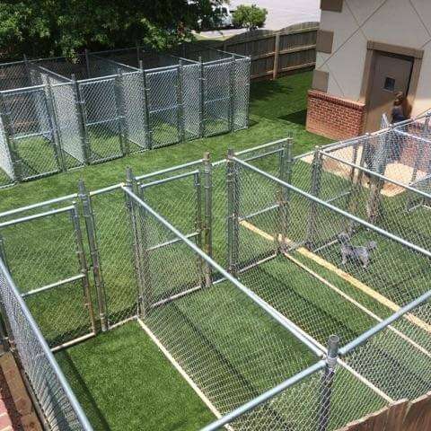 Kennel with artificial turf