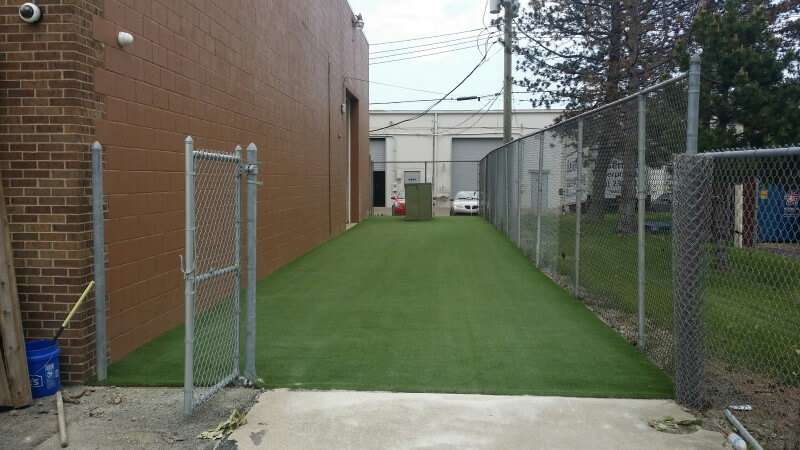 Dirt Paws artificial turf installation