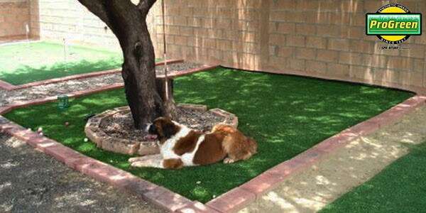 dog resting next to tree surrounded by artificial turf