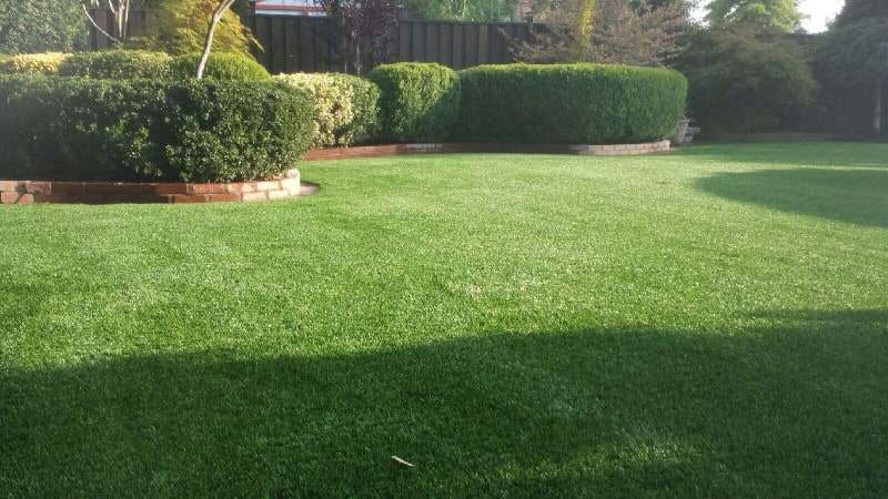 artificial grass used in lawn