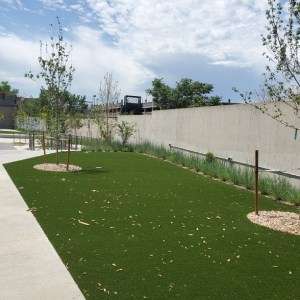 Denver Commercial Turf Project