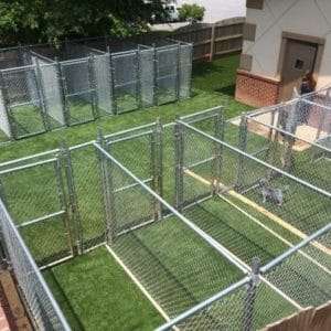 artificial grass for dogs