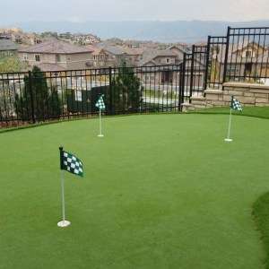 Putting Green Mountain View in Denver