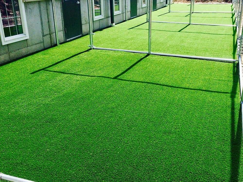 Dog Kennels on artificial turf