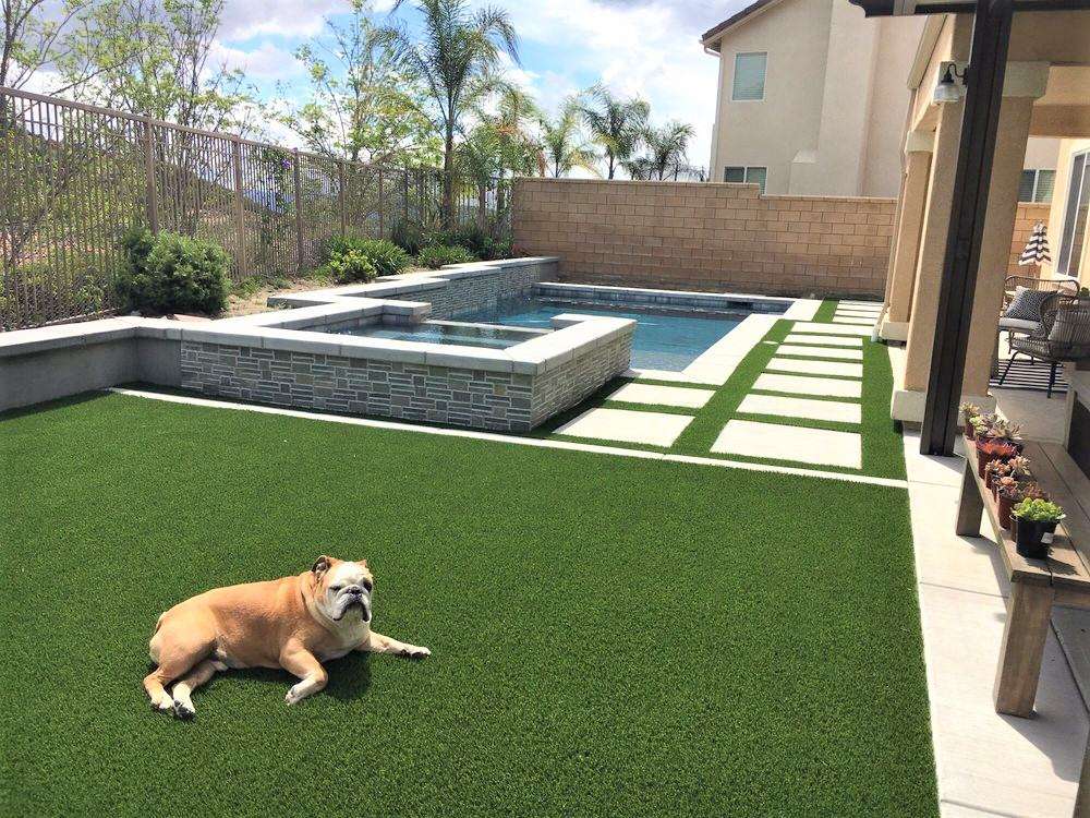 A dog lying on artificial grass in a backyard with a pool in the background