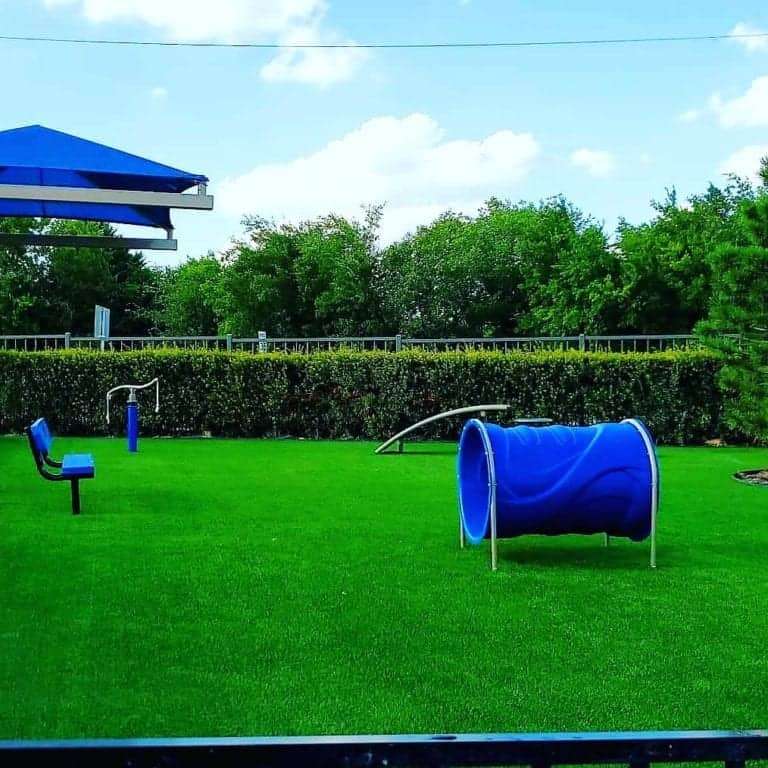 Backyard Dog Agility Course | Artificial Turf for Dogs | ProGreen