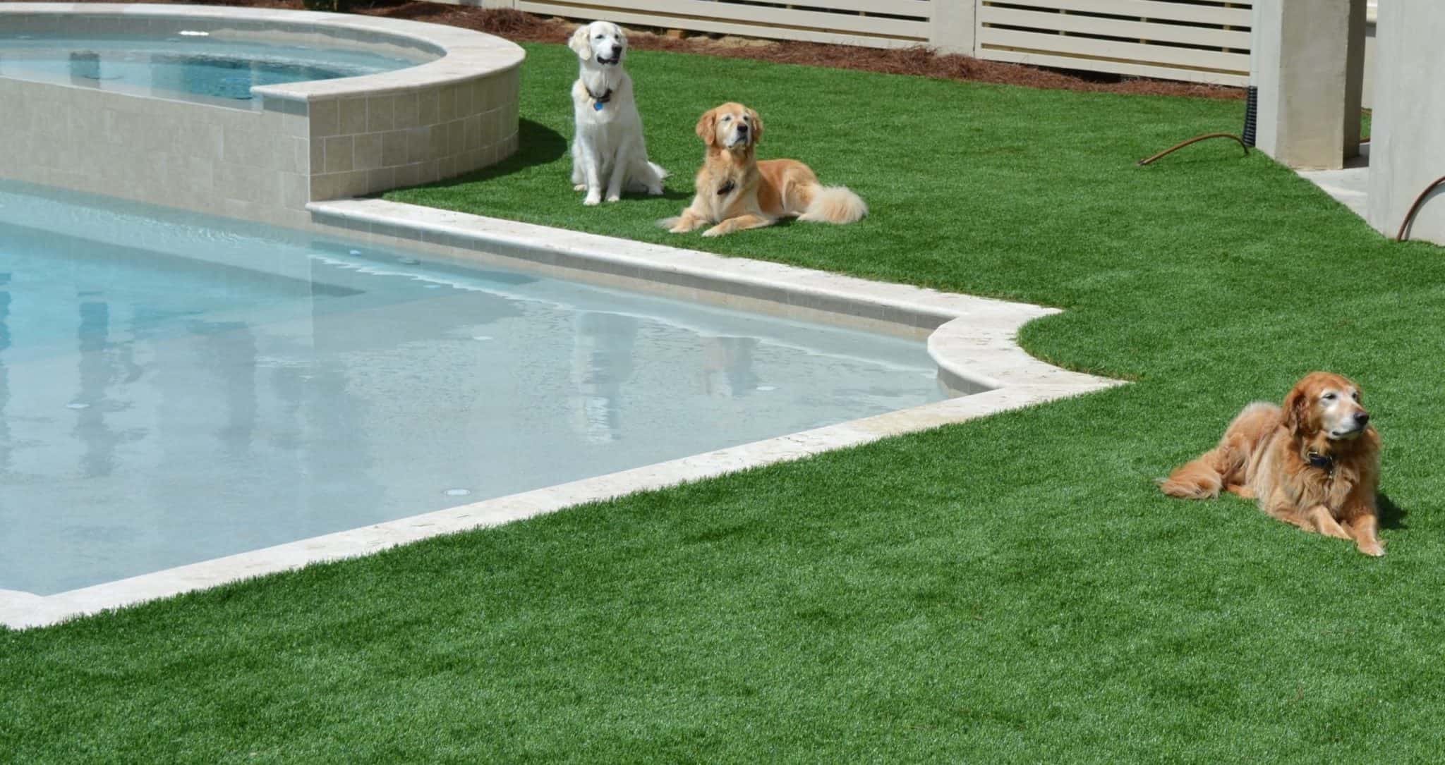 How to Install Artificial Turf for Dogs | 7 Easy Steps to Pet Turf Installation