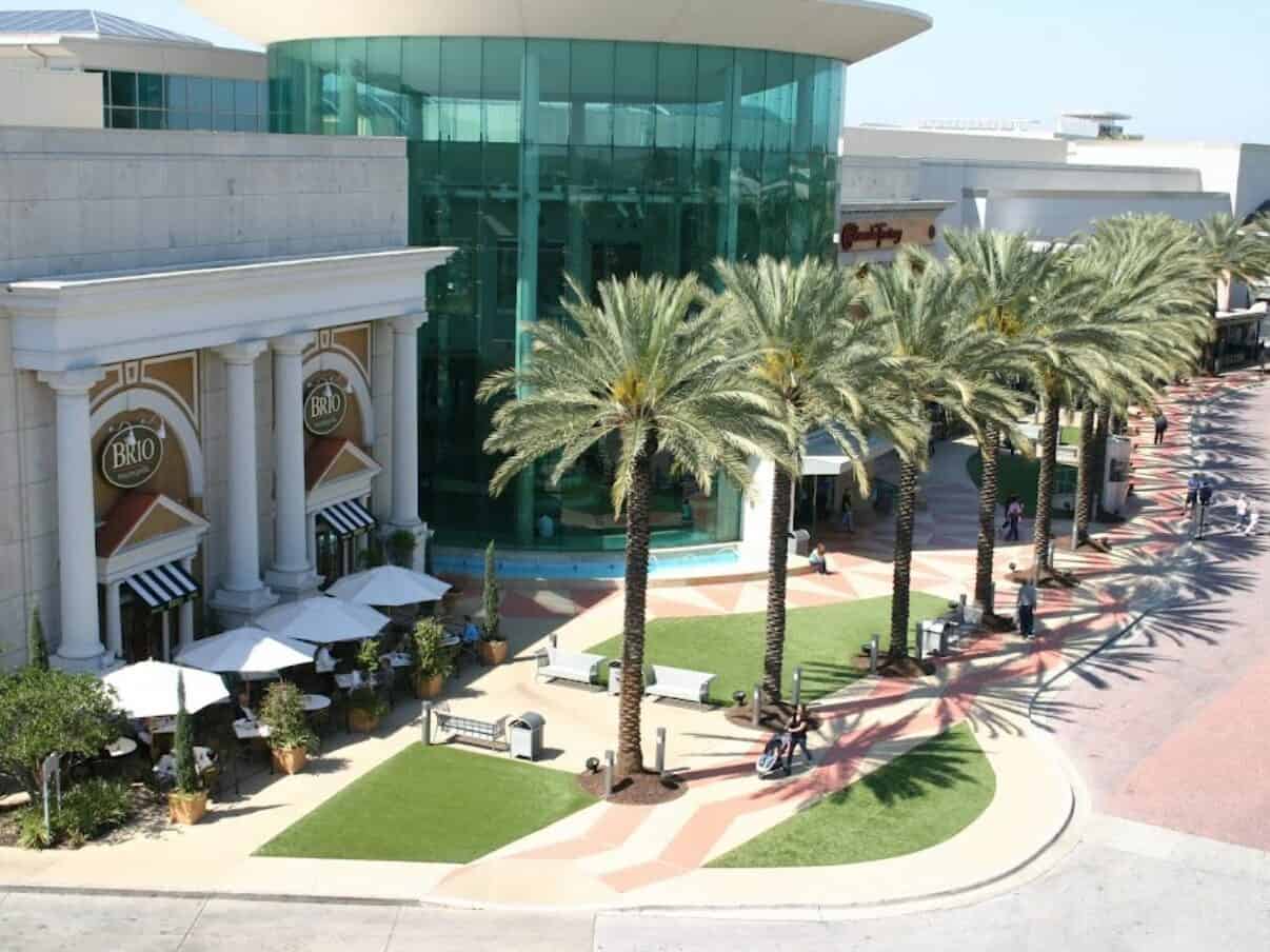 A group palm trees in front of Brio resturant with artificial grass infront of resturant