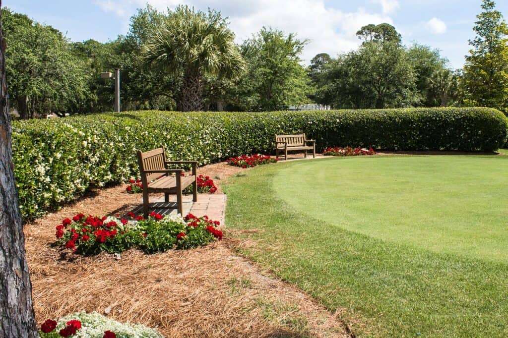 natural grass putting green