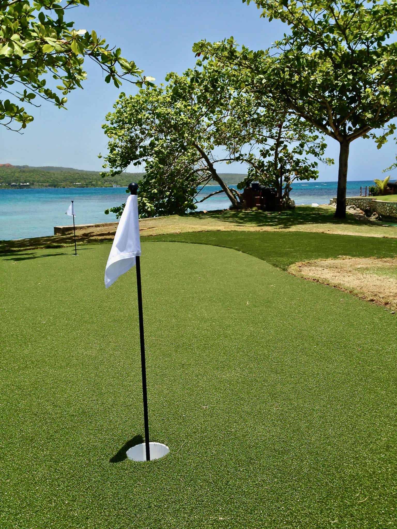 putting green turf with flag