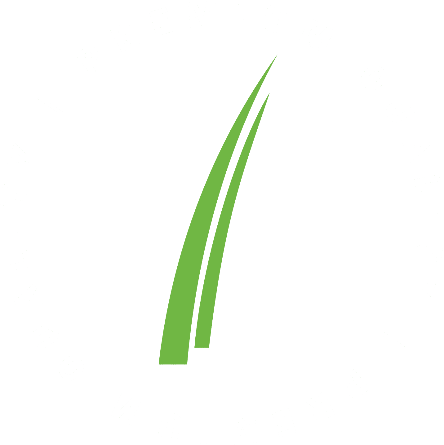 ProGreen blade of grass