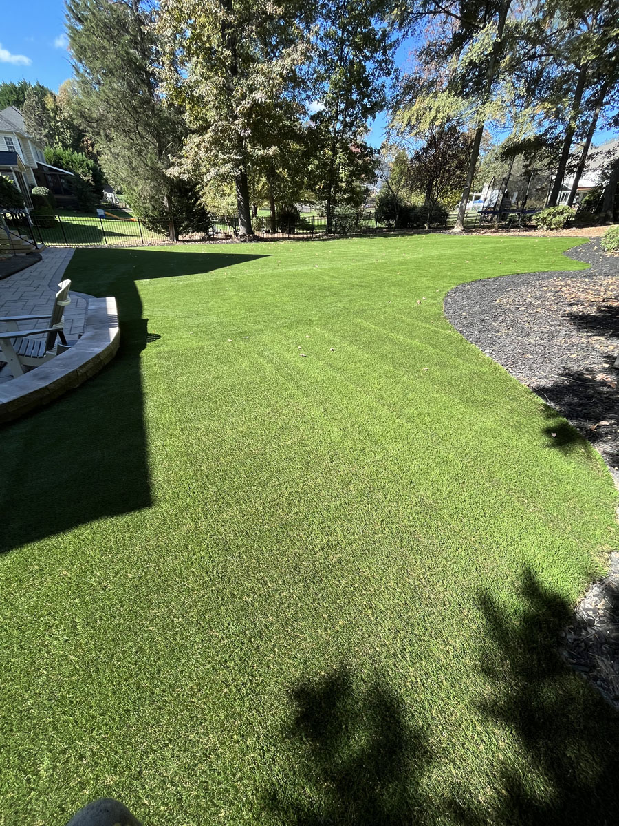 Charlotte artificial grass backyard