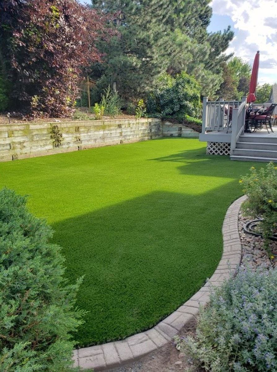 Denver yard with artificial turf