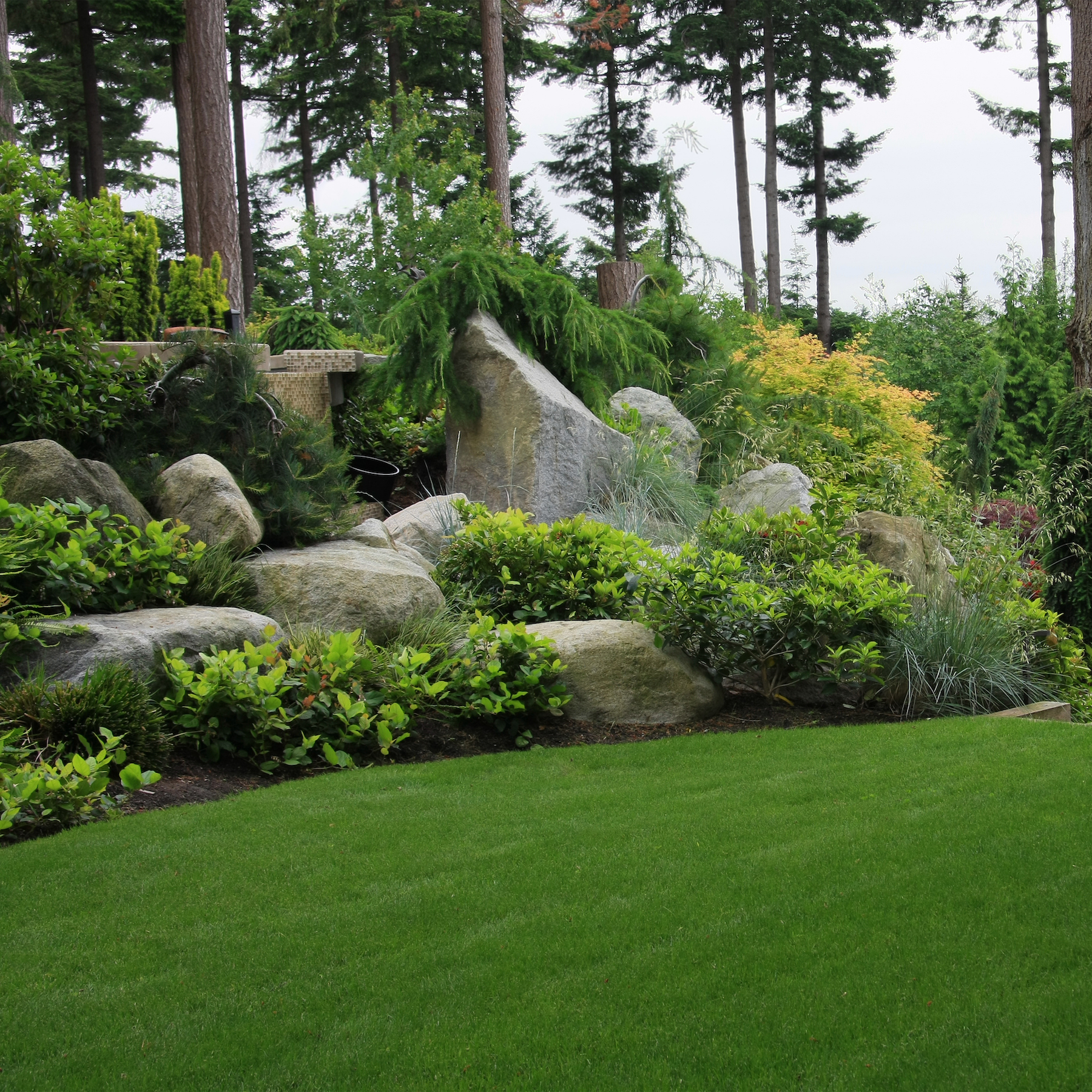 Denver backyard with artificial grass